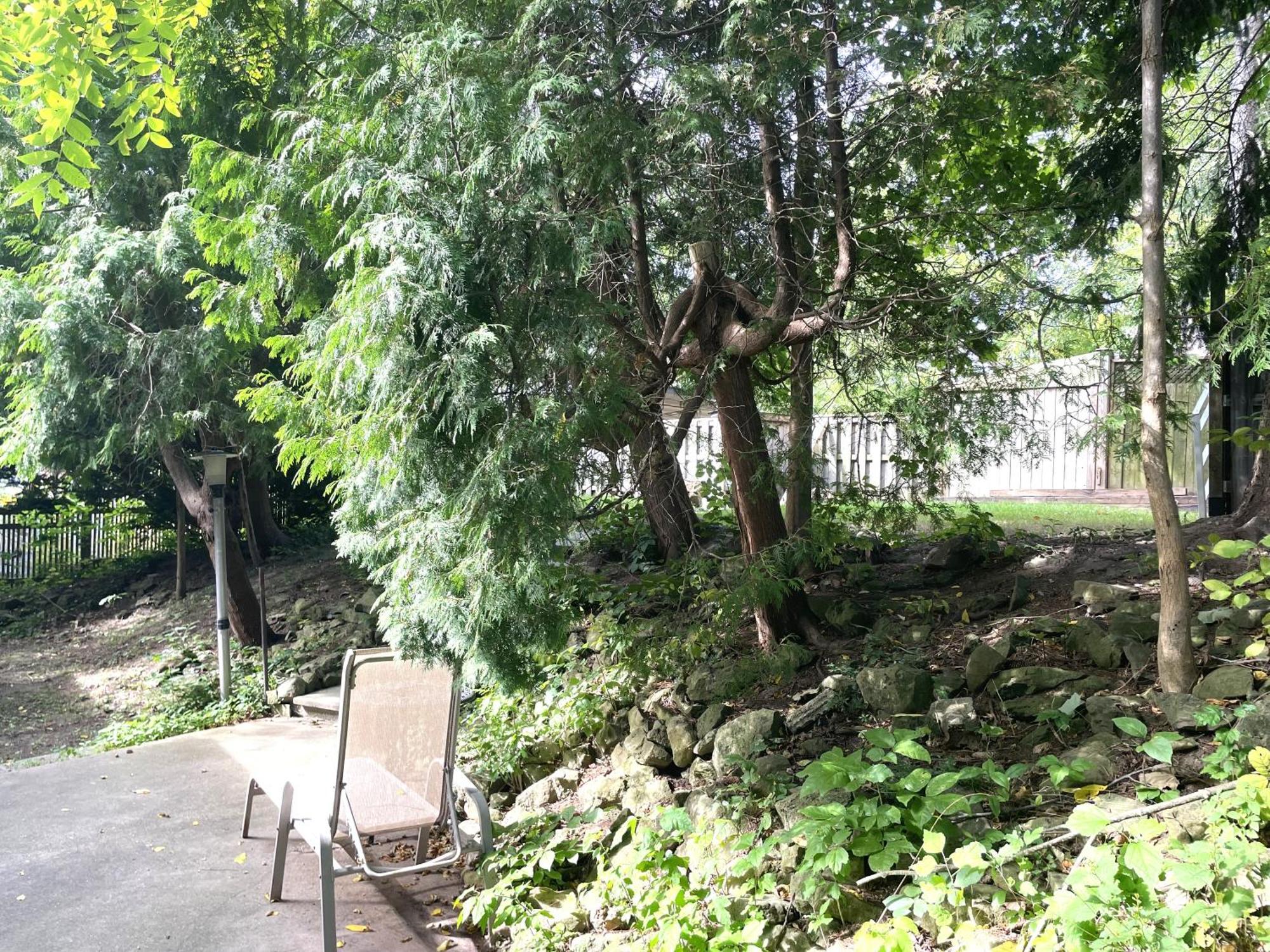 Niagara Riverview Closest To Falls, Free Breakfast Delivered Daily ภายนอก รูปภาพ